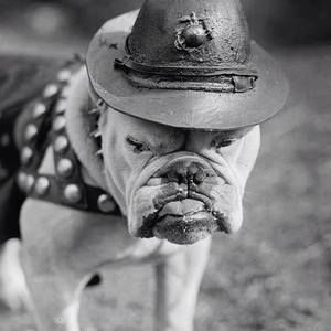 Meet your Posher, Felipe